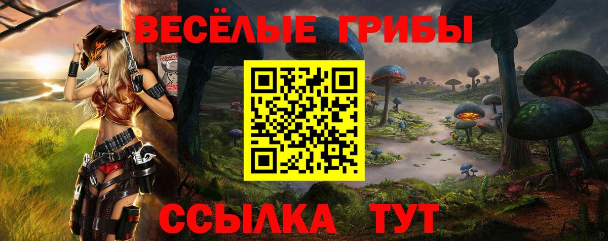 Псилоцибиновые грибы Psilocybine cubensis Междуреченск