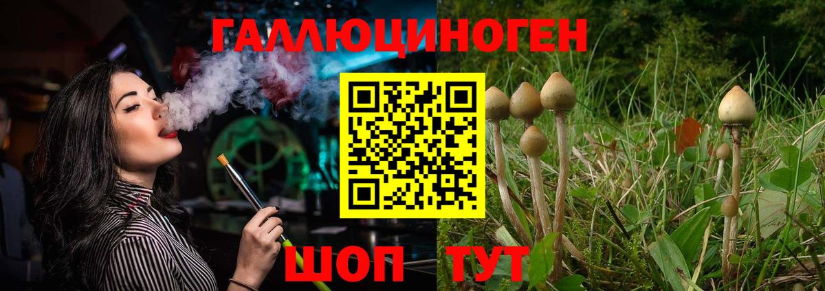 где купить наркоту  Псилоцибиновые грибы GOLDEN TEACHER  Вход с VPN  Междуреченск  Галлюциногенные грибы MAGIC MUSHROOMS 